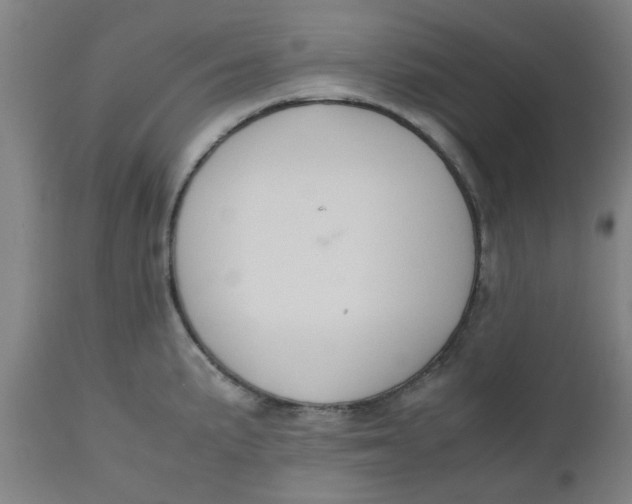 X0000112471191200909071126