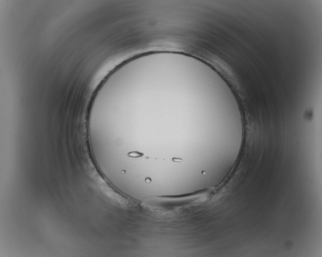 X0000112471192200909071126