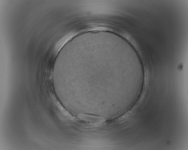 X0000112471193200909071126