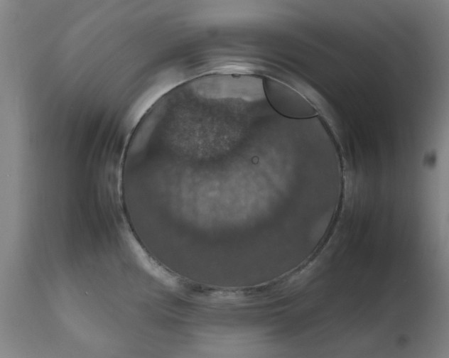 X0000112471194200909071126