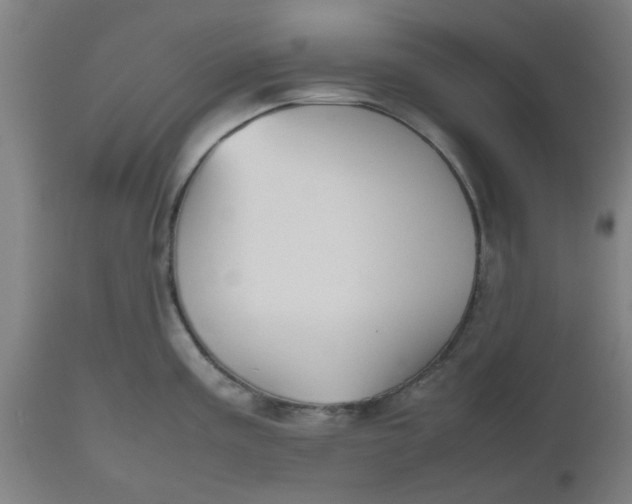 X0000112471195200909071126