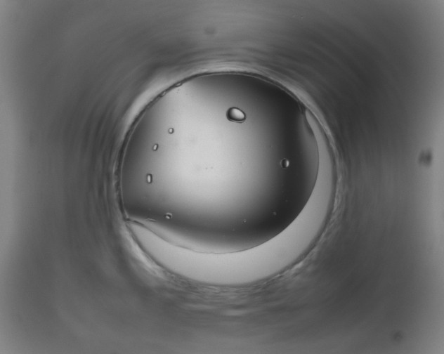 X0000112471197200909071126