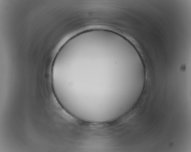 X0000112471199200909071126