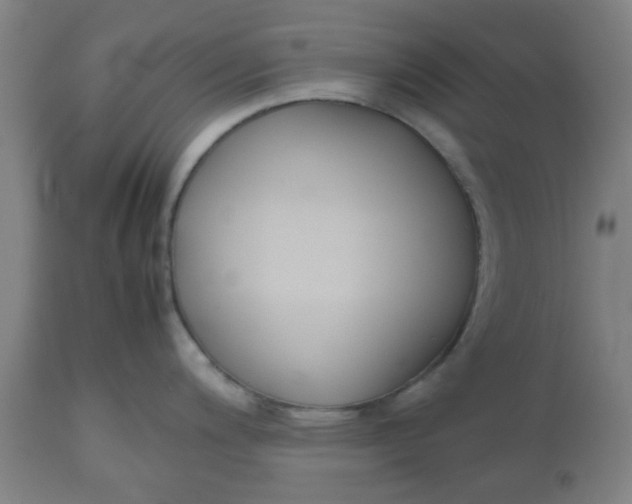 X0000112471200200909071126