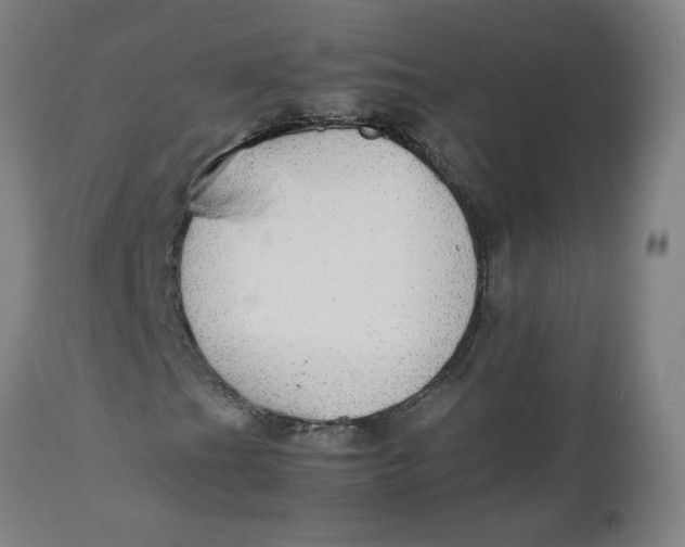 X0000112471201200909071125