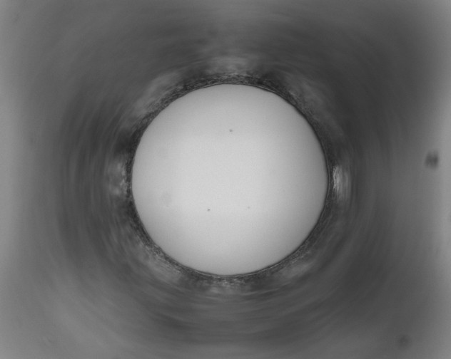 X0000112471203200909071125