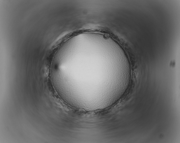 X0000112471206200909071125