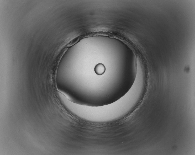 X0000112471209200909071125