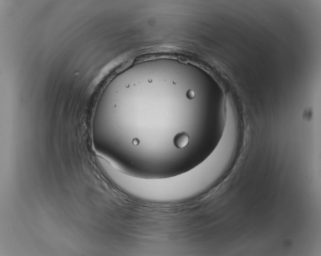 X0000112471210200909071125