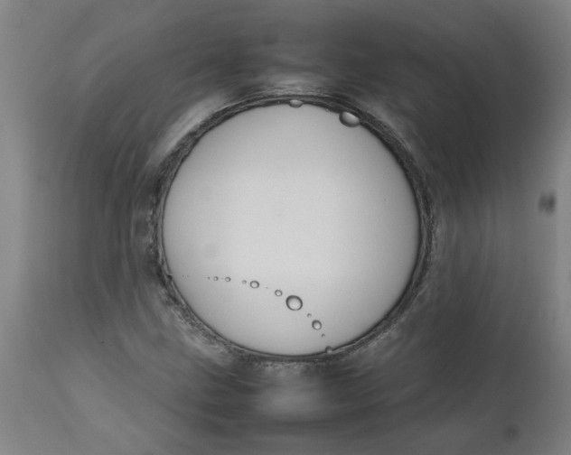 X0000112471211200909071125