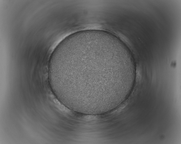 X0000112471212200909071125