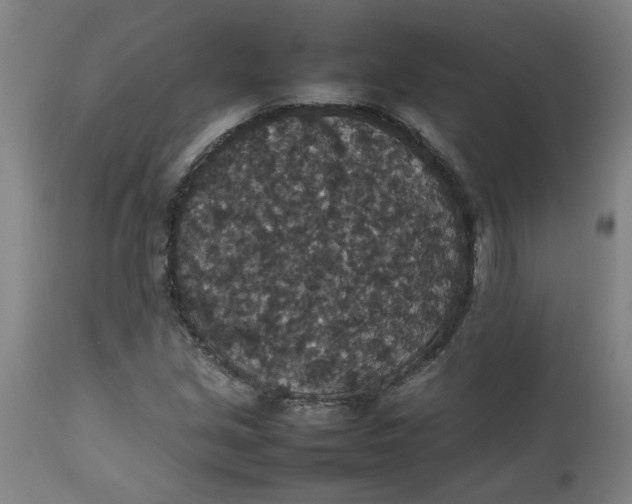 X0000112471213200909071125