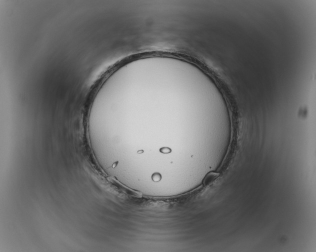 X0000112471214200909071125