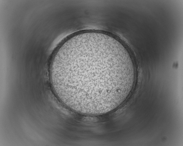 X0000112471215200909071126