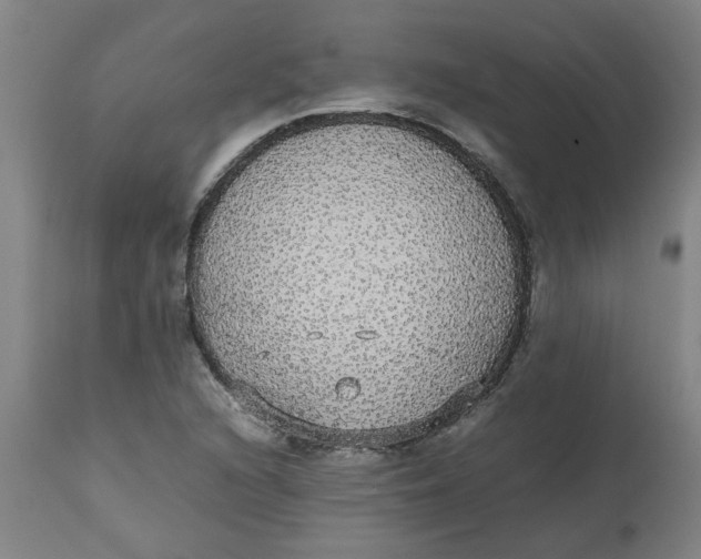 X0000112471216200909071126