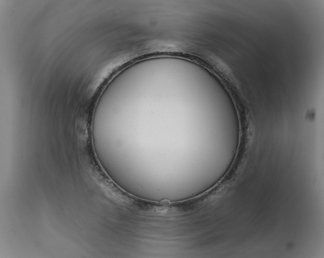 X0000112471218200909071126