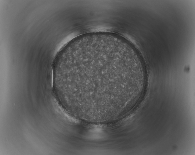 X0000112471219200909071126