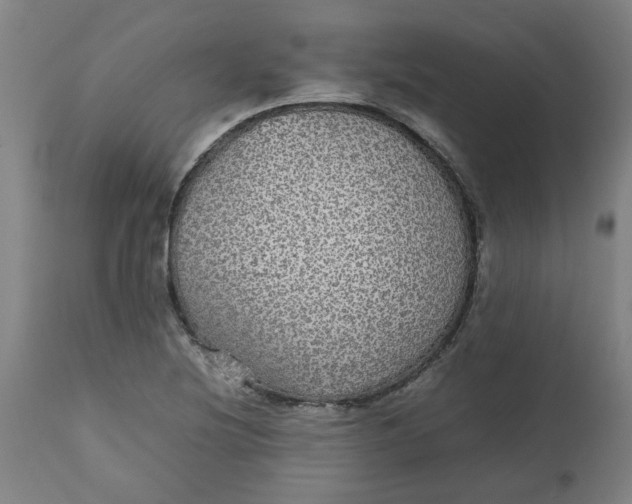 X0000112471220200909071126