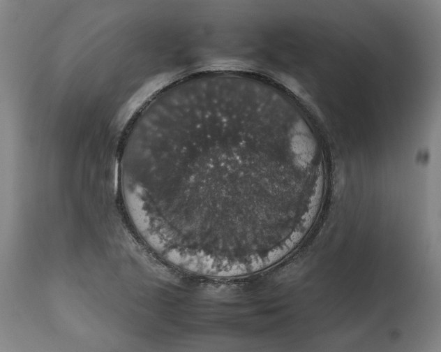 X0000112471221200909071126