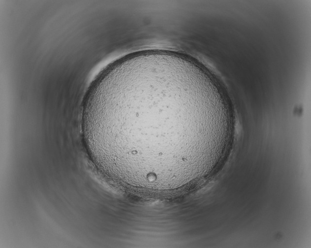 X0000112471222200909071126