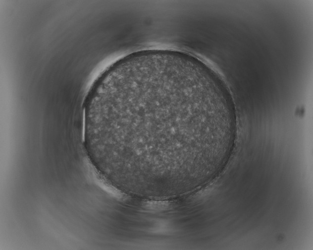 X0000112471223200909071126