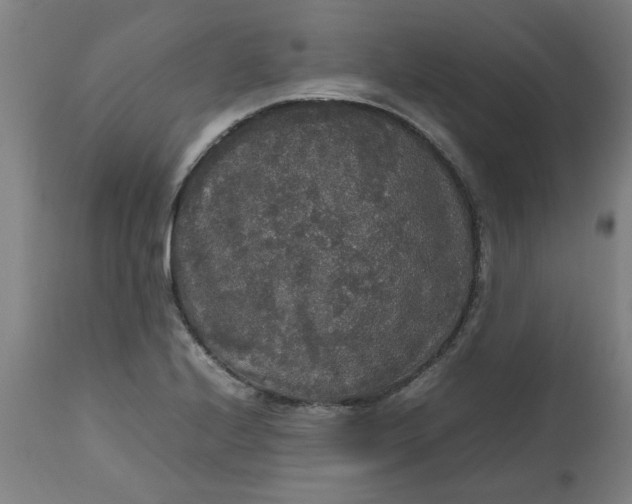 X0000112471224200909071126