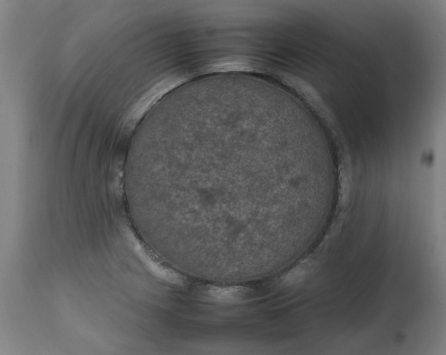 X0000112471225200909071126