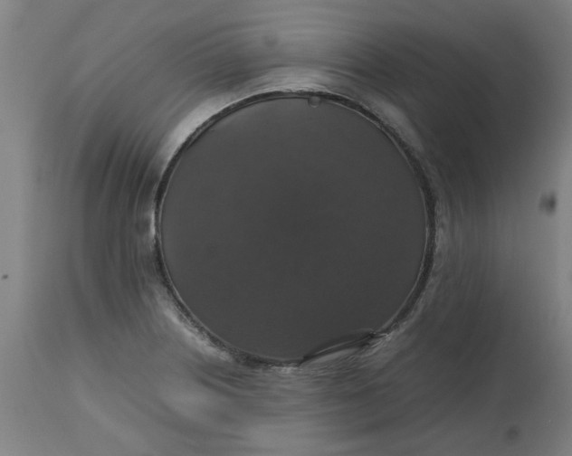 X0000112471226200909071126