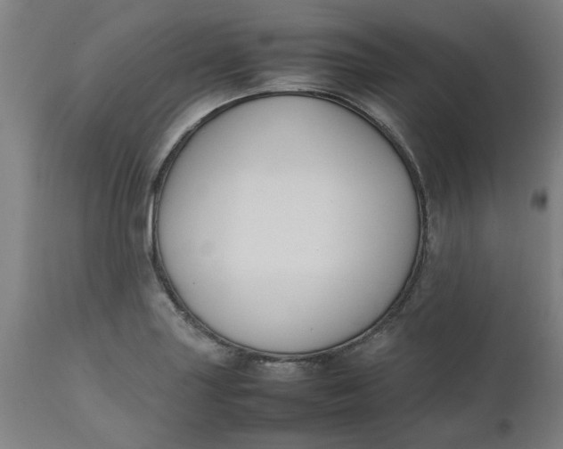 X0000112471227200909071126