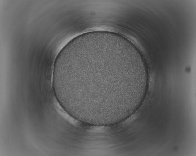 X0000112471228200909071126