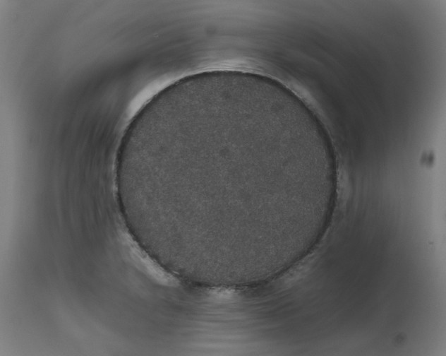 X0000112471230200909071126