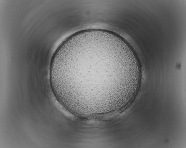 X0000112471232200909071126