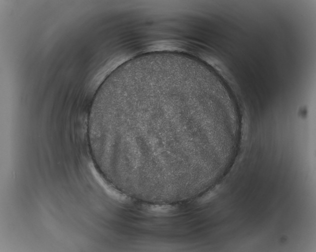 X0000112471233200909071126