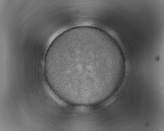 X0000112471234200909071126