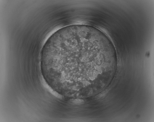 X0000112471235200909071126