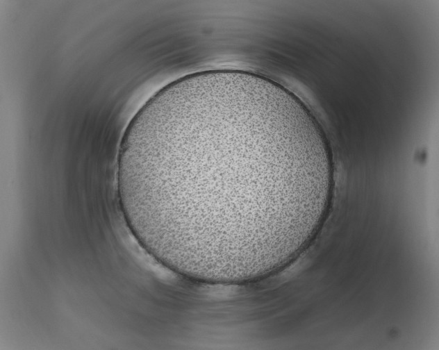 X0000112471236200909071126