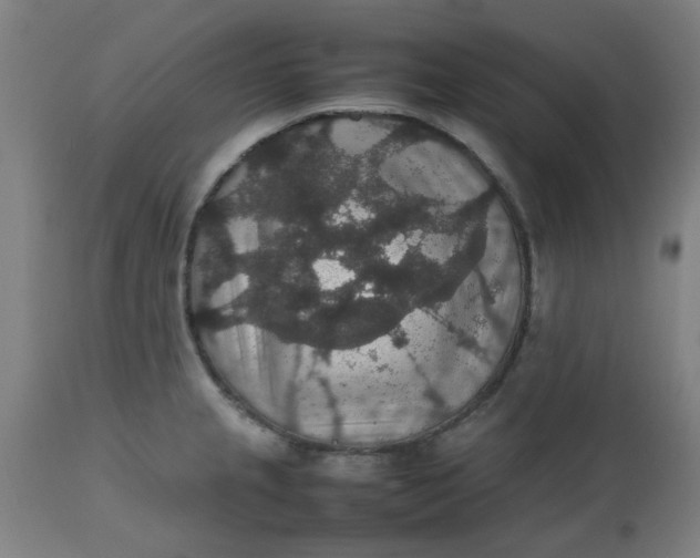 X0000112471237200909071126