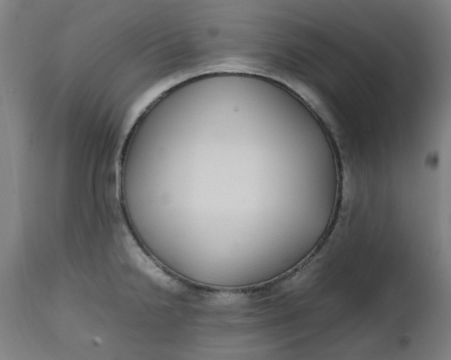 X0000112471238200909071126