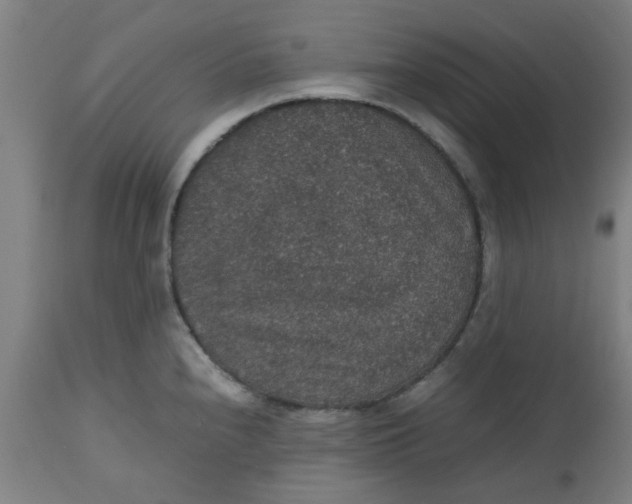 X0000112471240200909071126