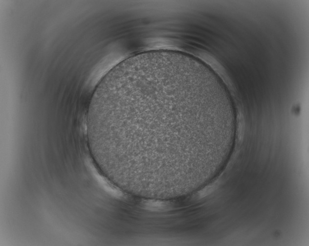 X0000112471241200909071126