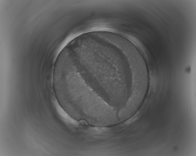 X0000112471244200909071126