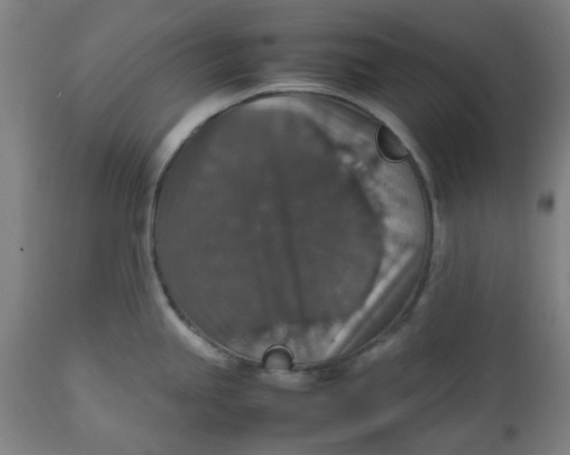 X0000112471245200909071126