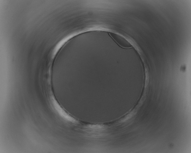 X0000112471246200909071126