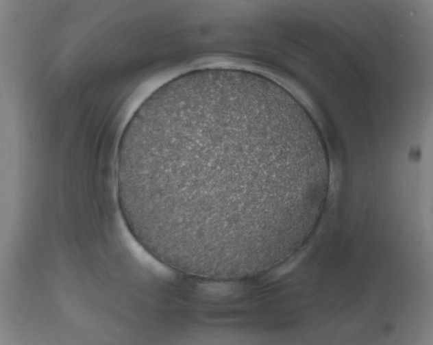 X0000112471247200909071126