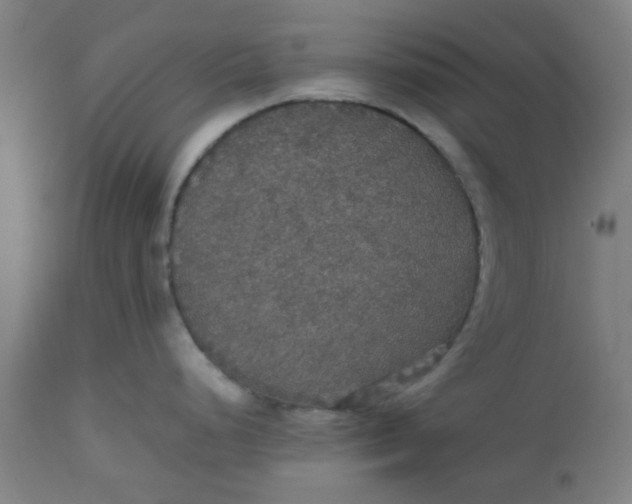 X0000112471248200909071126