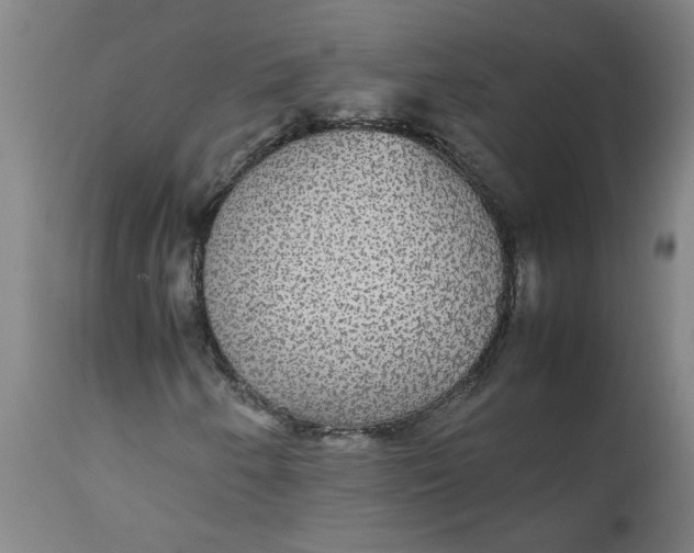 X0000112471250200909071125