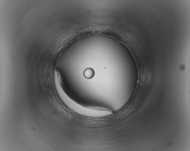 X0000112471252200909071125