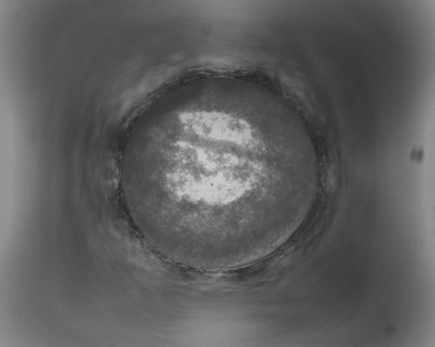 X0000112471253200909071125