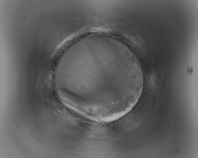 X0000112471254200909071125