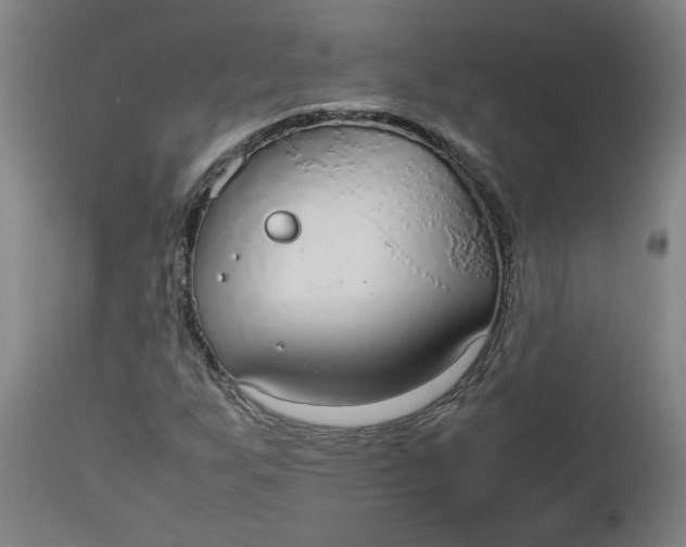 X0000112471255200909071125